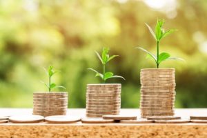 Image of coins with green sprouting out of the top