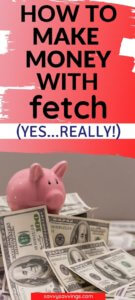 Fetch rewards review pin6