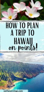 Planning a Trip to Hawaii Pin 4