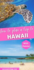 Planning a Trip to Hawaii Pin 5