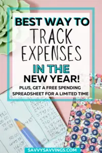 Pin Image with text: Best Way to Track Expenses in the new year!